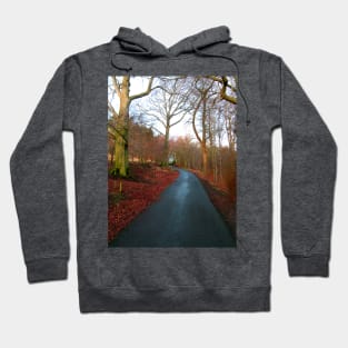 A winter walk in the park Hoodie